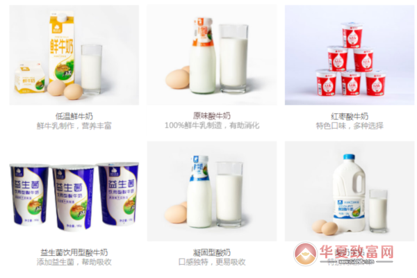 温氏生鲜省钱超市加盟